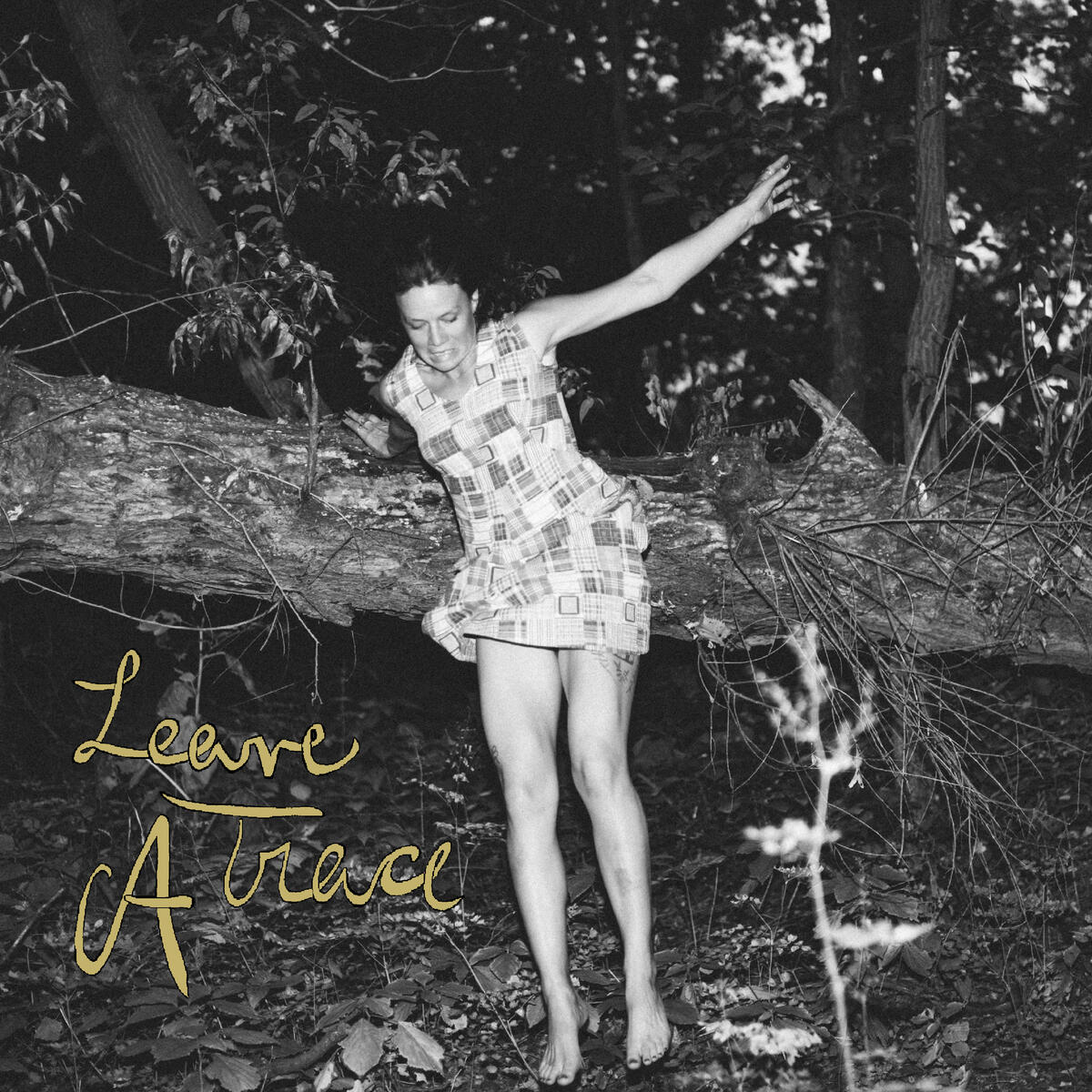 Dana Lee – Leave a Trace